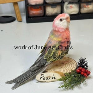 Feltro agulhado personalizado, boneca, memorial para animais de estimação, papagaio, pardal-de-java, periquito, feito à mão, lã personalizada, pássaro, presente, agapornis, perda de animal de estimação, suprimentos para pássaros