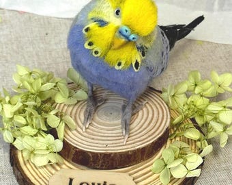 Puede incluir: Una figura de periquito de lana fieltrada con cabeza amarilla, cuerpo azul y marcas negras en las alas, posada sobre una base de rodaja de madera. La base incluye una pequeña placa de madera con el nombre Louis y flores verde claro.
