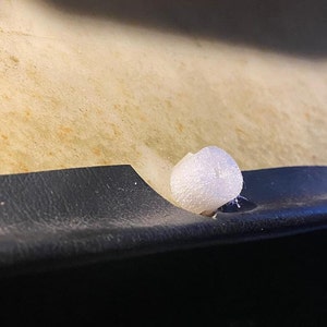 Könnte beinhalten: Nahaufnahme einer weißen Schaumstoff-Druckknopfnadel, die teilweise in eine schwarze Oberfläche gesteckt ist.