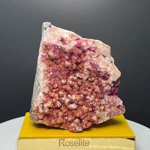 Puede incluir: Un espécimen mineral de Roselita de Marruecos. La piedra presenta una mezcla de tonos rosas y blancos, con una superficie texturizada y cristalina. El mineral se exhibe sobre un soporte amarillo con el texto "Roselite From Morocco".