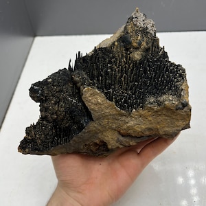 Könnte beinhalten: Natürliches Mineralpräparat mit einer dunklen, stacheligen Kristallstruktur auf einer braunen und beigen Gesteinsbasis. Die Kristalle sind tiefschwarz und kontrastieren mit den helleren Farbtönen des Gesteins. Die Gesamtform ist unregelmäßig und strukturiert.