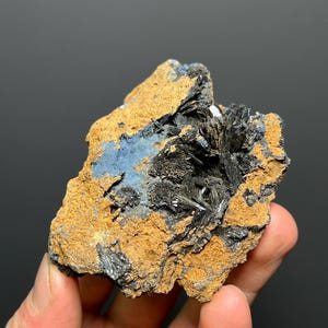 Könnte beinhalten: Natürliches Mineralexemplar mit einer rauen, braunen Matrix, blauen Flecken und Clustern aus schwarzen, nadelförmigen Kristallen. Das Mineral hat eine strukturierte Oberfläche und eine unregelmäßige Form.