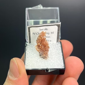 May include: A small, clear plastic display case holds a cluster of orange-brown inesite crystals. A white label with black text is visible inside the case. The case is held against a dark background.