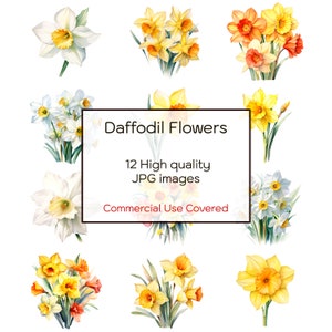 Narzisse Blumen Aquarell, 12 hochwertige JPGs, Wandkunst, Blumendruck, Karten, digitaler Download, Clipart druckbar, kommerzielle Nutzung
