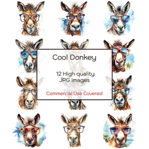 Cool âne clipart aquarelle, 12 fichiers JPG de haute qualité, art mural, impression, cartes, tasses, T-shirts, créations manuelles, téléchargement numérique, usage commercial