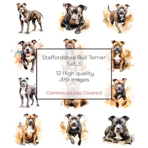 Staffordshire Bull Terrier - Set 3 Watercolor Clipart, 12 High Quality JPGs, Wall Art Print, Cards, Craft, Digital Download, Commercial Use