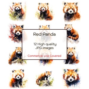 Rode panda aquarel clipart, 12 hoge kwaliteit jpg's, kunst aan de muur, afdrukken, kaarten, mokken, notebook, junk Journal, digitale download, commercieel gebruik