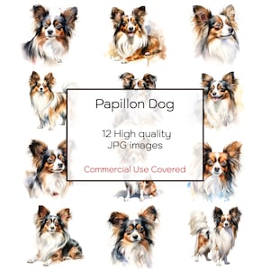 Clipart de acuarela de perros Papillon variados, 12 archivos JPG de alta calidad, arte de pared, impresión, tarjeta, taza, artesanía, descarga digital instantánea, uso comercial