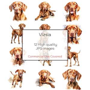 Vizsla Dog Assorted Watercolor Clipart, 12 High Quality JPGs, Wall Art, Print, Card, Mug, Craft, Journal, Digital Download, Commercial Use