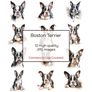 Boston Terrier Assorted Watercolor Clipart, 12 High Quality JPGs, Wall Art, Print, Card, Mug, Craft, Digital Download, Commercial Use