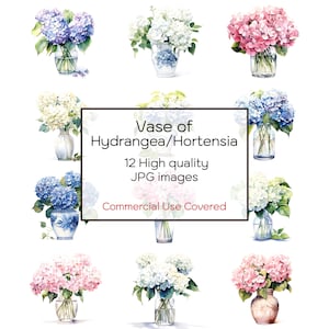 Vaas met hortensia hortensia aquarel clipart, 12 hoge kwaliteit jpg's, kunst aan de muur, bloemen, print, kaart, mok, digitale download, commercieel gebruik
