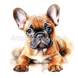Filhote de Bulldog Francês Diversos Clipart de Aquarela, 12 JPGs de Alta Qualidade, Impressão, Cartões, Canecas, Cadernos, Download Digital, Uso Comercial
