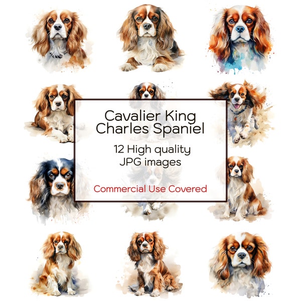 Cavalier King Charles Spaniel, assortiment de cliparts aquarelle, 12 fichiers JPG de haute qualité, art mural, impression, carte, téléchargement numérique, usage Commercial