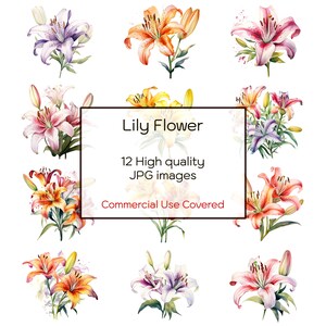 Lilien Blume Aquarell, 12 hochwertige JPGs, Wandkunst, Blumen Clipart, Druck, Karten, digitaler Download, Clipart druckbar, kommerzielle Nutzung