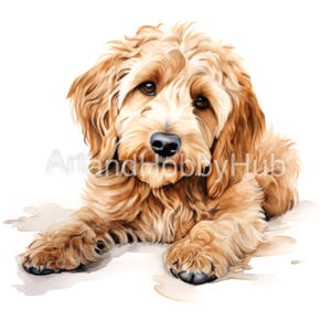 Goldendoodle Dog Assorted Watercolor Clipart, 12 High Quality JPGs, Print, Cards, Mugs, Craft, Pet, Digital Download, Commercial Use
