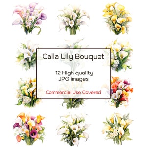 Calla Lily Flower Bouquet Acuarela Clipart, 12 JPG de alta calidad, Arte de pared, Imágenes prediseñadas florales, Impresión, Tarjetas, Descarga digital, Uso comercial