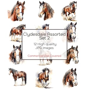 Clydesdale Horse Assorted - Set 2, Watercolor Clipart, 12 High Quality JPGs, Wall Art, Print, Cards, Mugs, Digital Download, Commercial Use