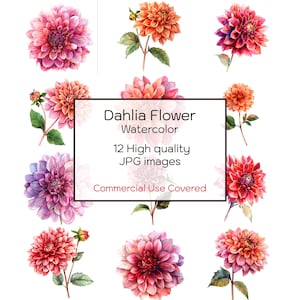 Dahlie Blume Aquarell, 12 hochwertige JPGs, Wandkunst, Blumen Clipart, Druck, Karten, digitaler Download, Clipart druckbar, kommerzielle Nutzung