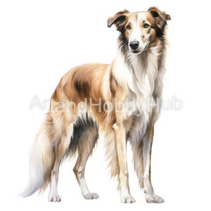Borzoi Dog Assorted Watercolor Clipart, 12 High Quality JPGs, Wall Art, Print, Card, Mug, Craft, Journal, Digital Download, Commercial Use