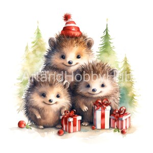 12 świątecznych jeży akwarela clipart, wysokiej jakości pliki JPG, wydruk, dziennik, pamiętnik, karta, rzemiosło, kubek, pobieranie cyfrowe, wykorzystanie komercyjne