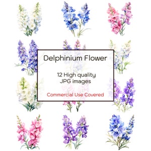 Delphinium Blume Aquarell Clipart, 12 hochwertige JPGs, Wandkunst, Blumen Clipart, Druck, Karte, Journal, digitaler Download, kommerzielle Nutzung