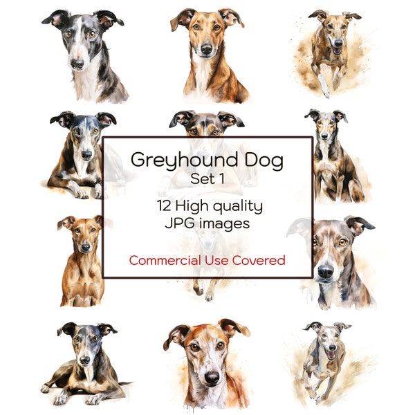 Greyhound Dog Set 1 Watercolor Clipart, 12 High Quality JPGs, Wall Art Print, Cards, Mugs, Craft, Stickers, Digital Download, Commercial Use