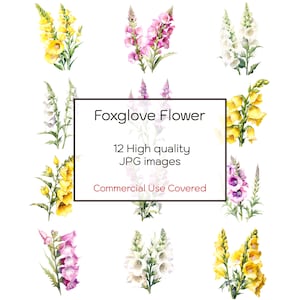 Fingerhut Blumen Aquarell Clipart, 12 hochwertige JPGs, Wandkunst, Floral, Druck, Karten, Einladung, digitaler Download, kommerzielle Nutzung