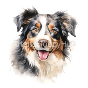 Miniature American Shepherd Assorted Watercolor Clipart, 12 JPG di alta qualità, stampa, biglietti, tazze, artigianato, download digitale, uso commerciale
