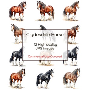 Clydesdale Horse Watercolor Clipart, 12 High Quality JPGs, Wall Art, Print, Cards, Mugs, Craft Project, Digital Download, Commercial Use