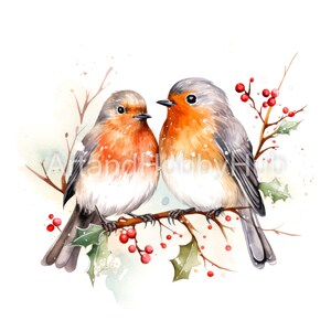 Boże Narodzenie Miłość Robin Akwarela Clipart, 12 Wysokiej Jakości JPG, Wydruk, Dziennik, Pamiętnik, Karta, Rzemiosło, Kubek, Pobieranie Cyfrowe, Użytek Komercyjny