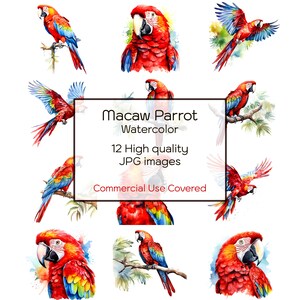 Ara Papagei Aquarell Clipart, 12 hochwertige JPGs, Wandkunst, Druck, Karten, Tassen, Notebooks, Kunsthandwerk, digitaler Download, kommerzielle Nutzung
