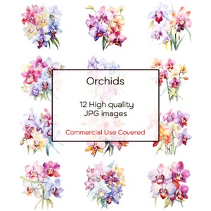 Orchideen Aquarell, 12 hochwertige JPGs, Wandkunst, Blumen Clipart, Druck, Karten, Handwerk, digitaler Download, Clipart druckbar, kommerzielle Nutzung