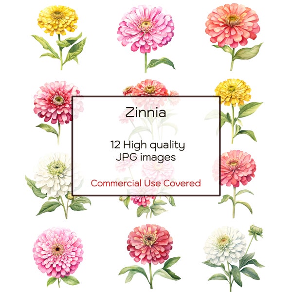 Zinnia Flower Watercolor, 12 High Quality JPGs, Wall Art, Floral Clipart, Print, Cards, Digital Download, Clipart Printable, Commercial Use