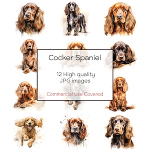 Cocker Spaniel Assorted Watercolor Clipart, 12 High Quality JPGs, Wall Art, Print, Card, Mug, Craft, Digital Download, Commercial Use