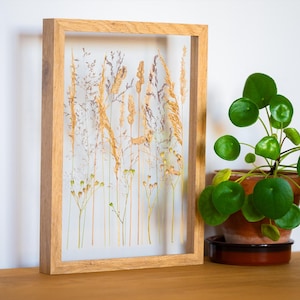 Framed herbarium, herbarium flowers and grasses, dried flowers, wild meadow, herbarium, herbarium frame, handmade plant frame France