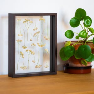 Framed herbarium, flower herbarium, dried flower frame, Yarrow, herbarium, herbarium frame, plant frame, handmade in France, perpetual