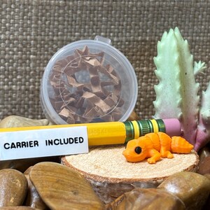 3D Printed Tiny Articulated Miniature Animal Pet Fidget Toy Fat Tailed Leopard Gecko Reptile Lizard