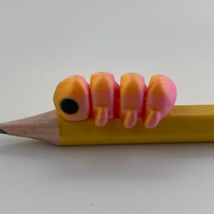 3D Printed Articulated Miniature Animal Pet Fidget Toy Caterpillar Bug Insect Inch Worm