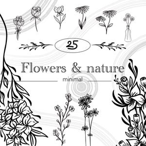 Set Clipart Fiori Stilizzati – 25 Elementi PNG ad Alta Risoluzione per i Tuoi Progetti Creativi!