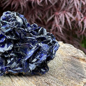 Azurite Crystals from Tsumeb Mine, Namibia