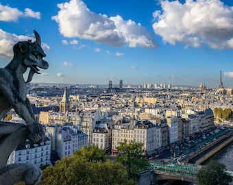 Guardian of Notre Dame — Print: Minimalist Fine Art Landscape Photography