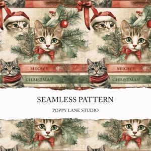 Fond de chat de Noël, motif de chat festif, animal de compagnie sans couture, papier numérique de Noël pour animaux de compagnie, Noël miaou, impression de chat de Noël, fichier sans couture de chat