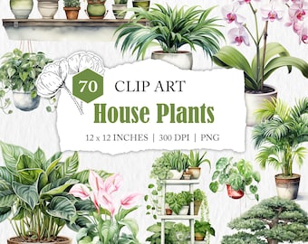 potted plants clip art, house plant illustrations, PNG plant images, botanical clipart, watercolour plant pot clip art, plant lover graphics