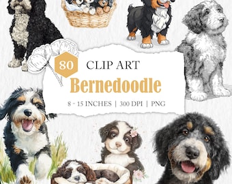 assorted Bernedoodle clip art, graphic elements, dog PNG images, dog clipart, watercolour dogs, Bernedoodle illustrations, pet clipart set