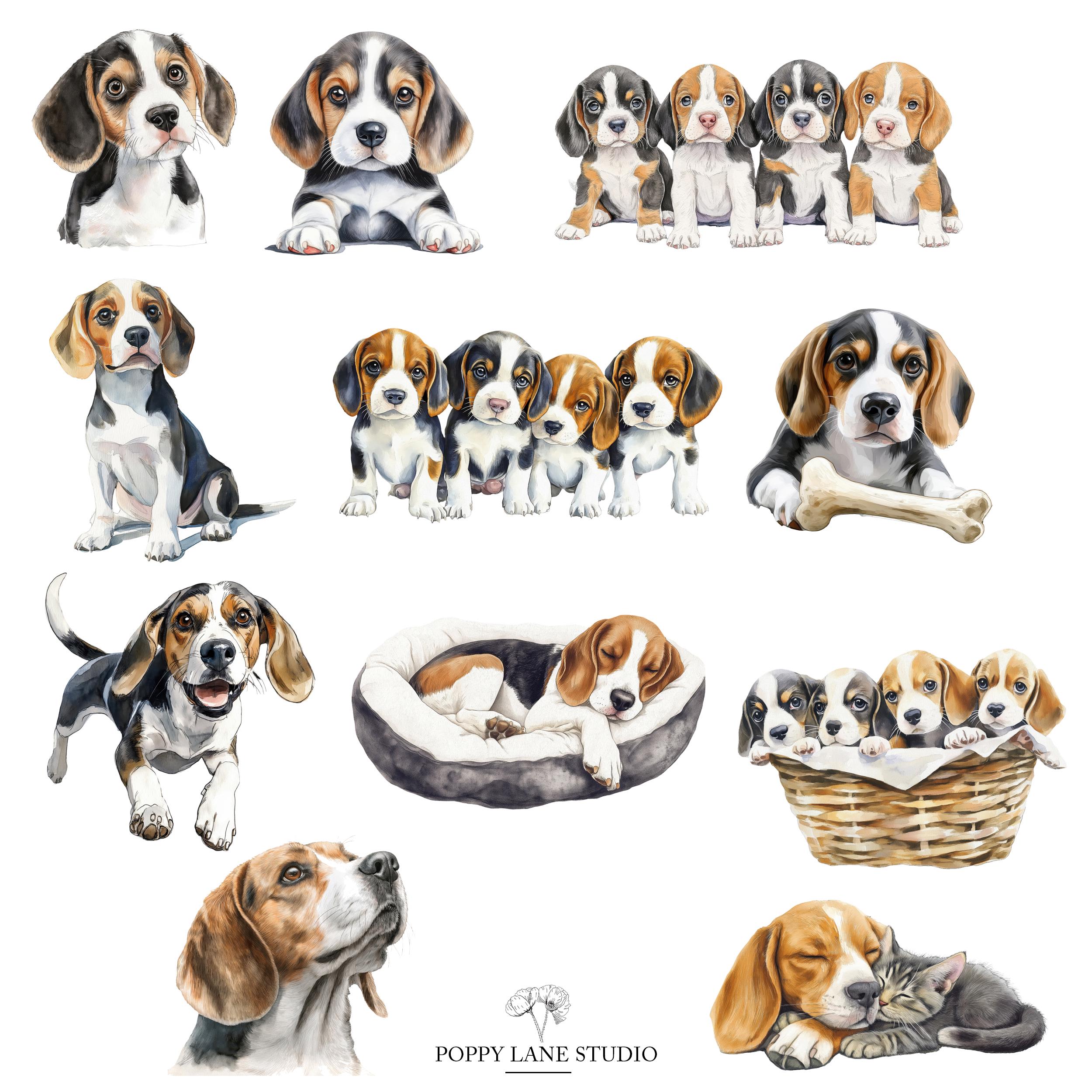 Beagle Clip Art, PNG Images, Cartoon Beagle, Cute Dog Clipart, Doggie ...