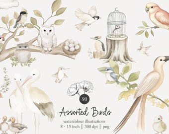 assorted bird clip art, pastel world birds clipart, watercolour bird graphics, transparent PNG, bird digital files, watercolor illustrations