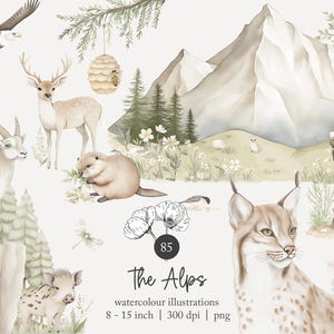 May include: A collection of watercolor illustrations featuring a mountain landscape, a deer, a lynx, a bear, a goat, a beaver, a boar, an eagle, a squirrel, a beehive, and flowers. The text reads: 85 The Alps watercolor illustrations 8 - 15 inch 300 dpi png.