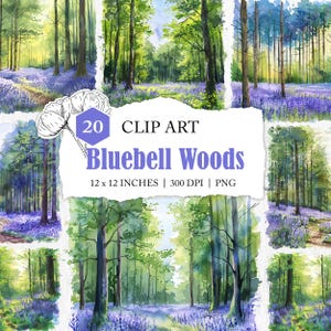 illustraties van boshyacinten, aquarel bos, png-afbeelding, Engeland clipart, Groot-Brittannië, boshyacinten, lente, weelderig bos, landschap van het Verenigd Koninkrijk