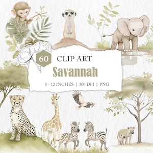 African animal clip art, nursery illustrations, African savannah graphic, transparent animal clipart, PNG, cute African animals digital file