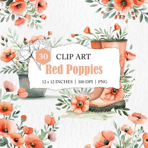 Lot de clip art coquelicot rouge, éléments graphiques floraux, images PNG coquelicot, clipart botanique, pot de plante de bottes de coquelicots aquarelle, couronne de coquelicots